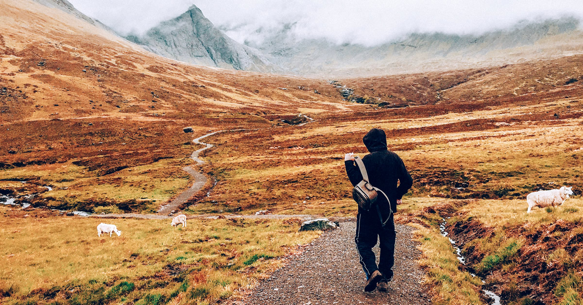 Samsonite : Dominion Sport Backpack review