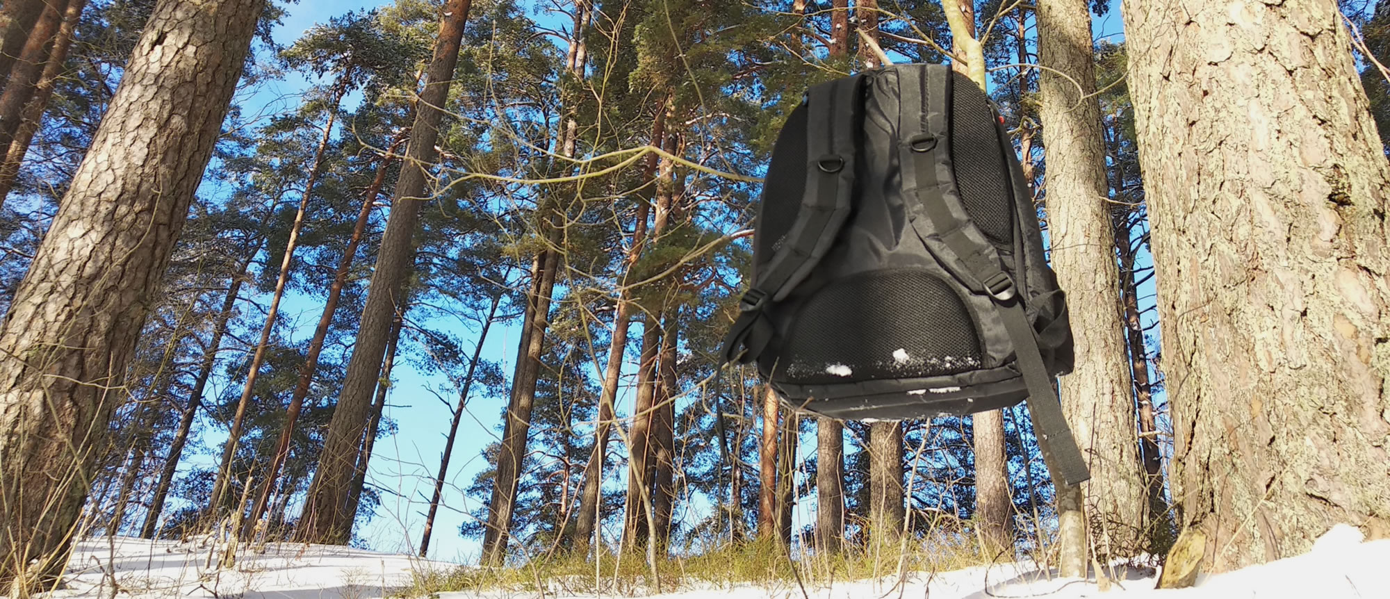 laptop backpack Booq Terralinqg review