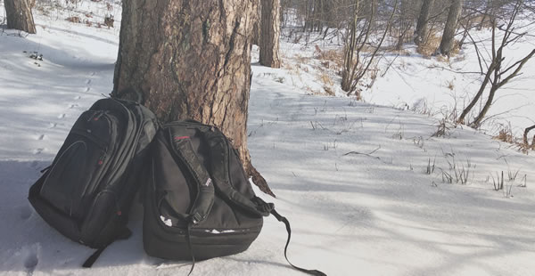 How I Review Bags