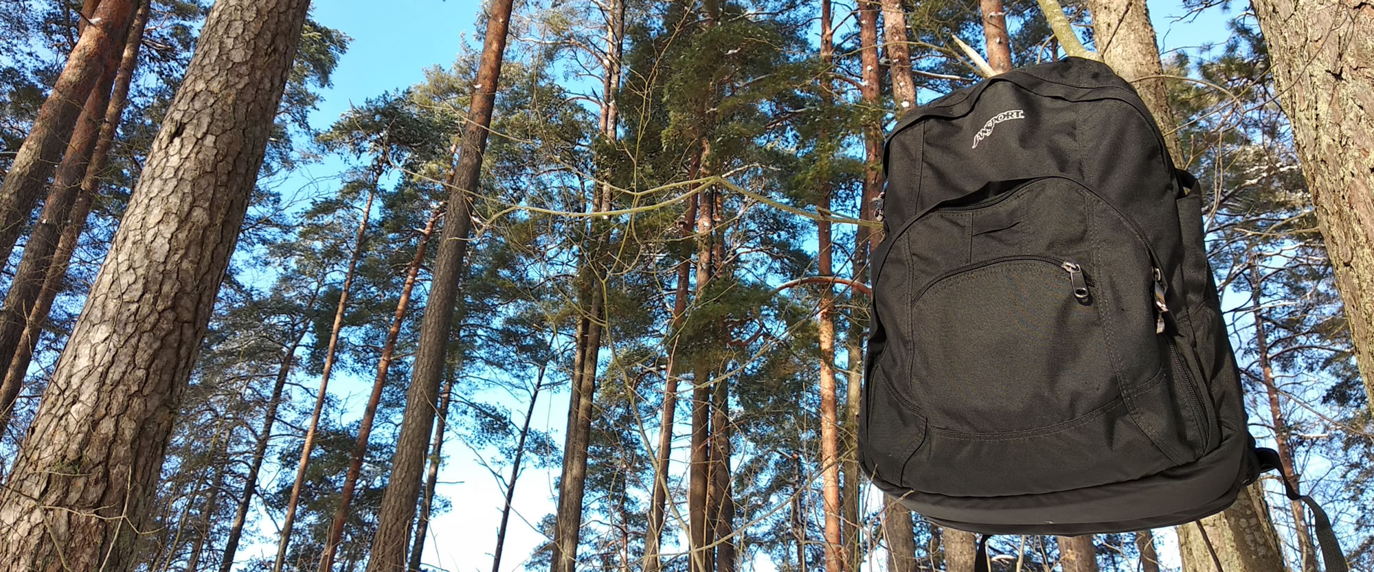 laptop backpack carry on flights